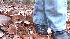 standing on wet leaves