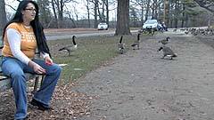 Beth feeds geese at a park