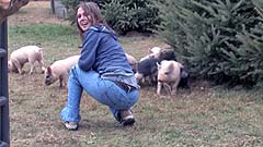 Mela plays with some baby pigs at a petting zoo