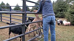 Mela pets some goats in her wet pants